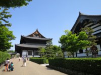 IMG_0786.JPG